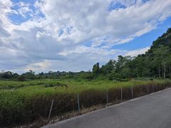-南宁花花大世界景区