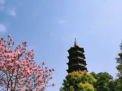 -重庆园博园