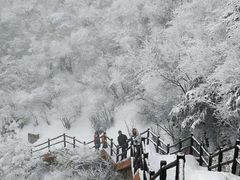 -秦岭天竺山景区