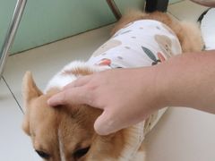 -怪兽屋·羊驼·猫咖·狗咖(俊华广场店)