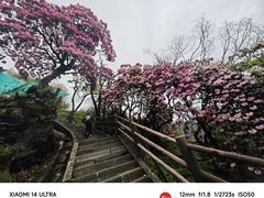 -峨眉山风景名胜区
