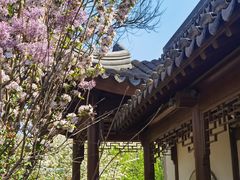 -桃花堤公园