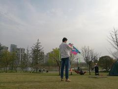 -羊山湖公园
