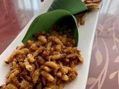 炸竹虫-蝴蝶泉宾馆-中餐厅