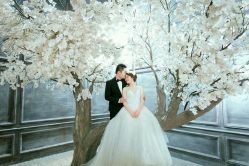 点击看大图 -太郎花子婚纱摄影艺术中心
