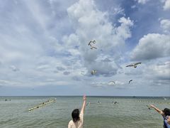 -那香海钻石沙滩浴场