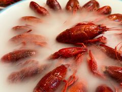 -杨氏青龙虾·羊蝎子(珠江路店)