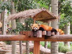 -北京野生动物园