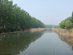 -微山湖红荷湿地景区