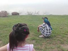 -丁香湖公园