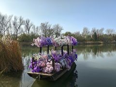 -溱湖国家湿地公园