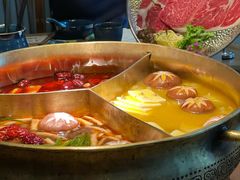红颜花胶鸡锅-湊湊火锅·茶憩(上海合生汇店)