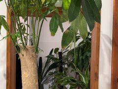 -沸腾鱼乡(知春路分店)