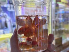 -天空之城游乐体验世界(万宝广场店)