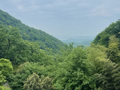 风景-韬光茶庵