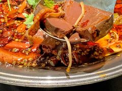 传统毛血旺-麻六记(凤凰汇店)