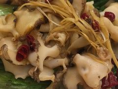 生吃海螺-万宝海鲜舫(劳动公园店)