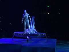 -珠海横琴长隆《卡卡虎奇遇记》