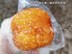 -黎里古镇