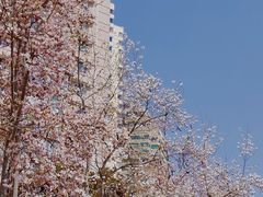 -五四广场