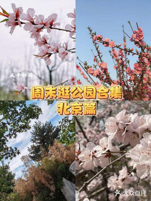 菖蒲河公园图片