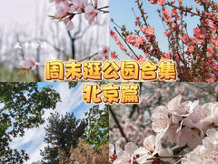 -菖蒲河公园