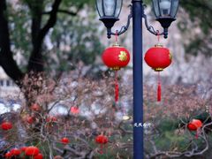 -申粤轩酒楼(丁香花园店)