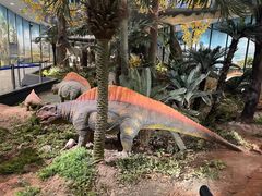 -湖南省地质博物馆