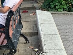 -九龙公园
