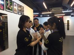 -温鉴良实用咏春拳