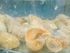 -渔中舟海鲜大排档(普陀沈家门店)