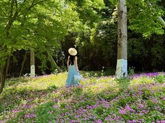 -白鹭湾湿地公园