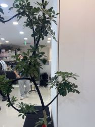 点击看大图 -HaLo hair studio