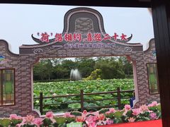 -大湾区中央湿地公园