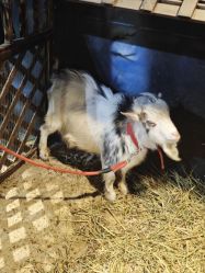 -酷嗒动物文化乐园(cutezoo西溪乐天城店)