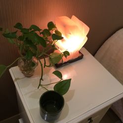 -艾维庭美容纤体SPA