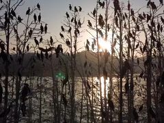 -东湖落雁景区