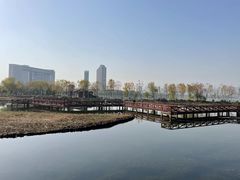-金银湖国家城市湿地公园