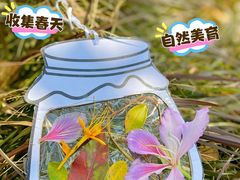 -顺峰山公园