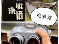 -海珠湖公园