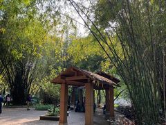 -晓港公园