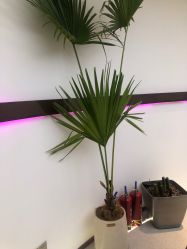 -In Style Hair Salon