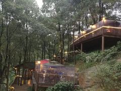 -枇杷园食为鲜火锅(南山店)