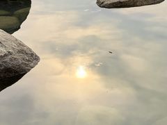 -滆湖低碳生态公园