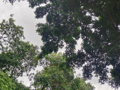 -人民公园(罗湖区)