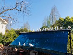 -J Create城市露营咖啡·简餐·宠物(上海动物园店)