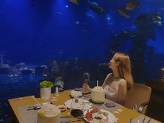-涛·海底餐厅·美人鱼·自助餐·海底隧道(三亚海棠湾洲际度假酒店)
