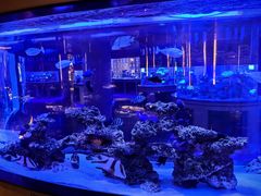 -上和臻品中国菜(花园街店)