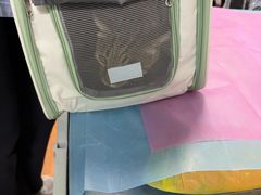 -北京观赏动物医院·24小时大型综合·猫专科·异宠专科