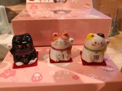 -猫的天空之城概念书店(苏州诚品店)